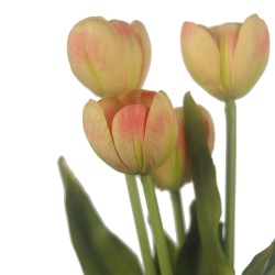 وردة توليب لون زهري صغير 40