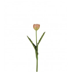 وردة توليب لون زهري صغير 40