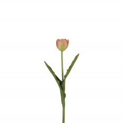 وردة توليب لون زهري صغير 40