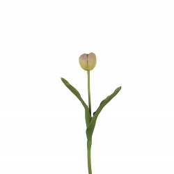 وردة توليب لون زهري داكن  40