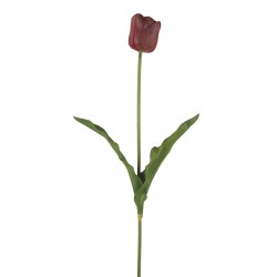 وردة توليب لون أرجواني فاتح 70