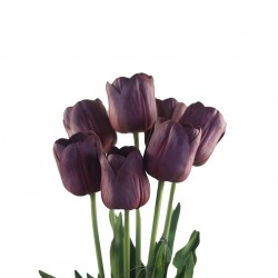 وردة توليب لون أرجواني فاتح 70