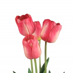 وردة توليب لون زهري فاتح 65