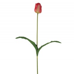 وردة توليب لون زهري فاتح 65