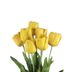 وردة توليب لون أصفر 70