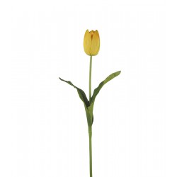 وردة توليب لون البرتقالي الملون  70