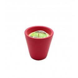 شمعة مكافحة للحشرات