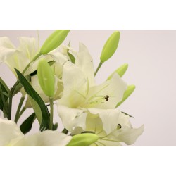 زهرة الليليوم صناعي زهرة الليليوم صناعي