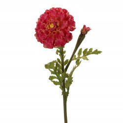 وردة المخملية  70