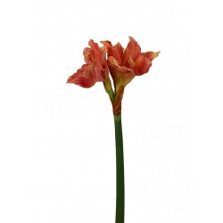 ورد ألاماريليس صناعي