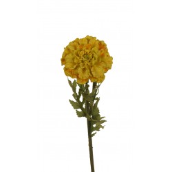 وردة مخملية 60