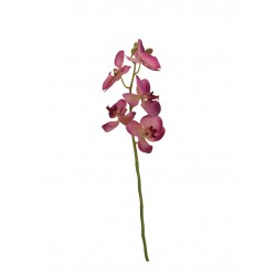 زهرة أوركيد صناعي زهرة أوركيد صناعي