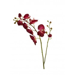 زهرة أوركيد صناعي زهرة أوركيد صناعي