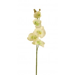 زهرة أوركيد صناعي زهرة أوركيد صناعي