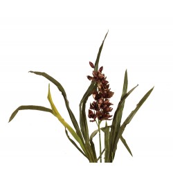 زهرة (Boat orchid) أوركيد صناعي زهرة (Boat orchid) أوركيد صناعي