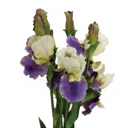 زهرة (Irises) أوركيد صناعي 