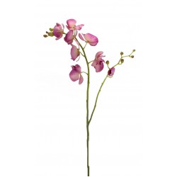 زهرة أوركيد صناعي زهرة أوركيد صناعي