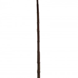 غصن البامبو غصن البامبو