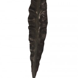 ورق نبات صناعي ورق نبات صناعي