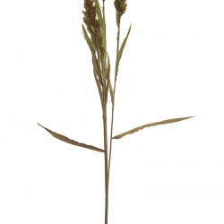 نبات الذرة صناعي نبات الذرة صناعي