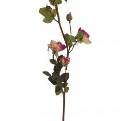 نبات صناعي نبات صناعي