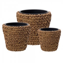 أحواض زرع عدد 3  