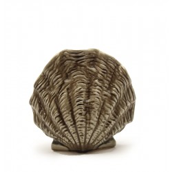 مزهرية الصدفة البحرية