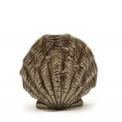 مزهرية الصدفة البحرية