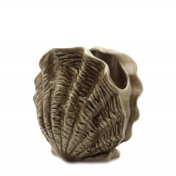 مزهرية الصدفة البحرية