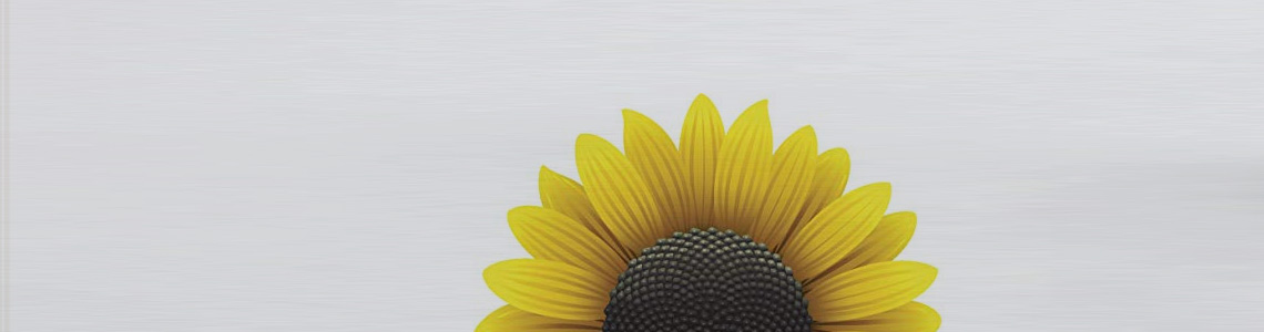 x Large Flowers x Large Flowers