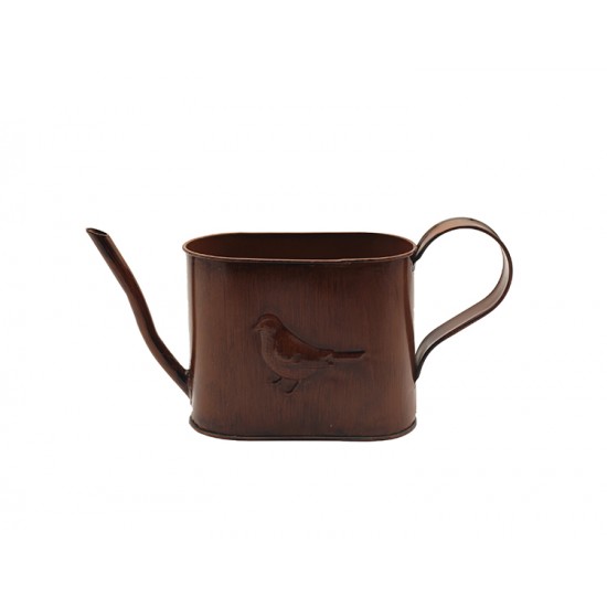 Watering jug planting Watering jug planting